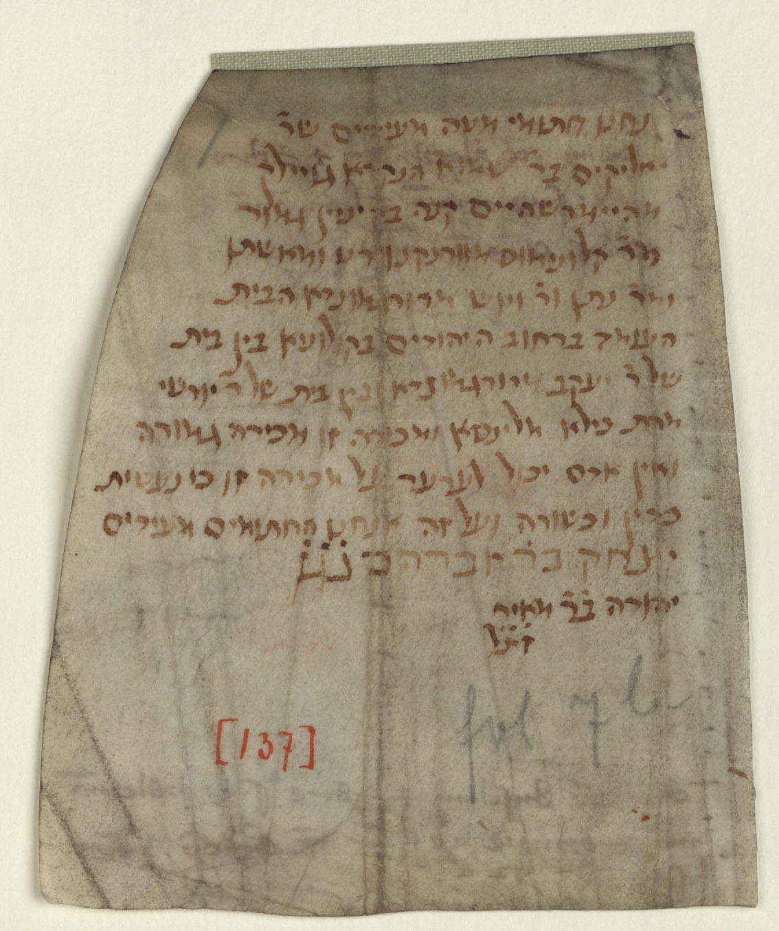 Manuscript image 1 for Folio None