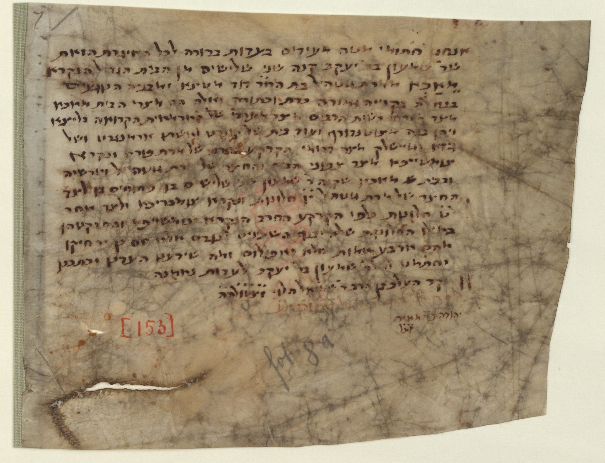 Manuscript image 1 for Folio None