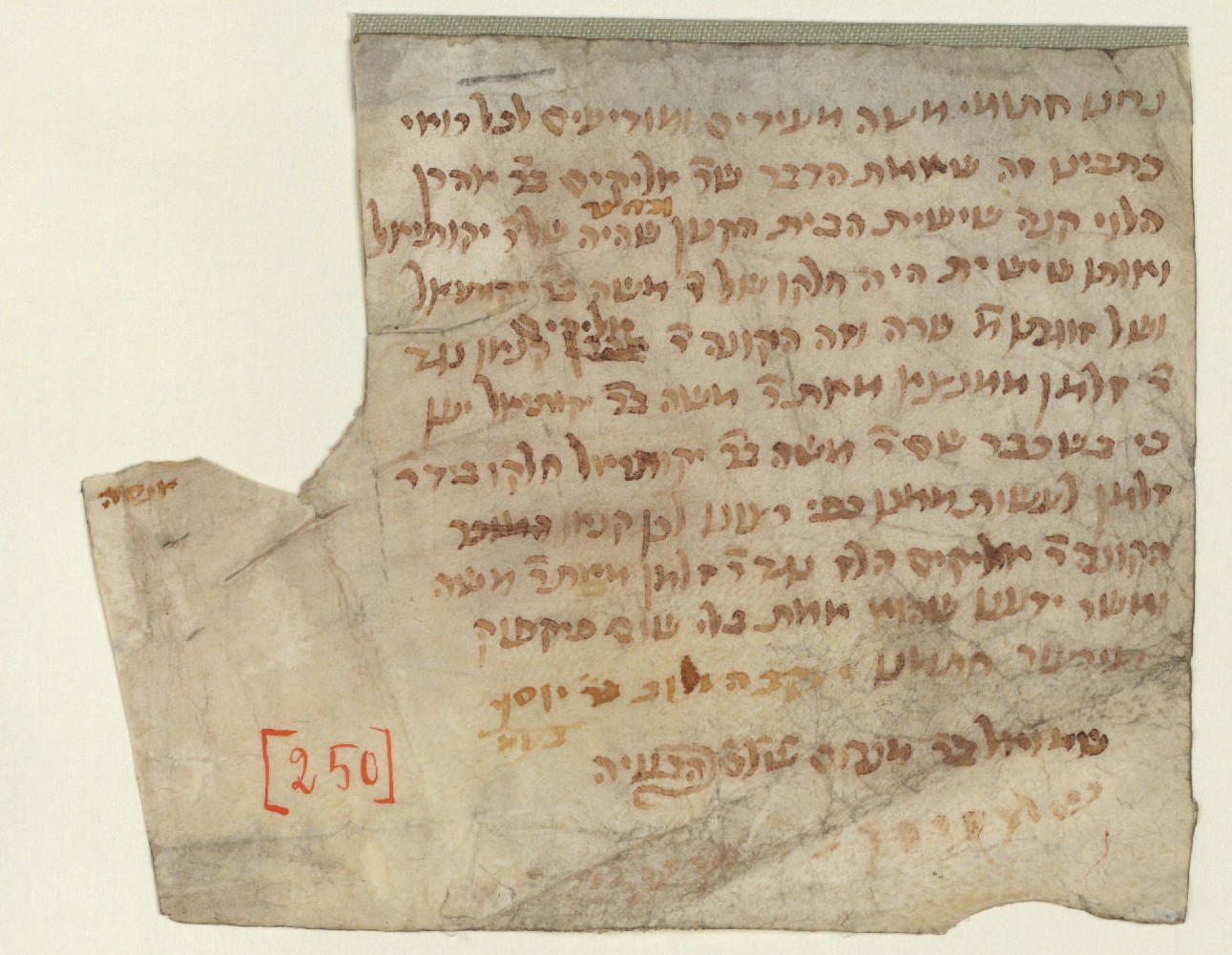 Manuscript image 1 for Folio 16v
