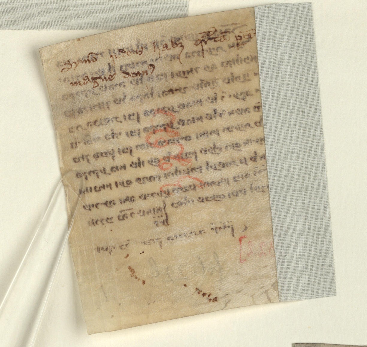 Manuscript image 2 for Folio 22v