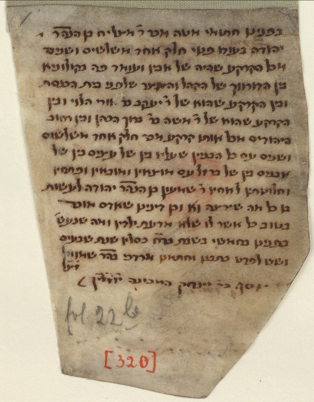 Manuscript image 1 for Folio 22v